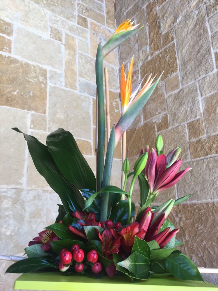 CASA FLORA FLOWER SHOP Updated October 2024 314 Magnolia Ln