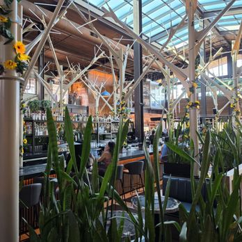 Sky Deck - Food Court Near Me - San Diego, California Sky Deck - Food Court Near Me - San Diego, California