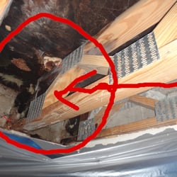 General Moisture Solutions - A leaky roof can cause damage to roof rafters.