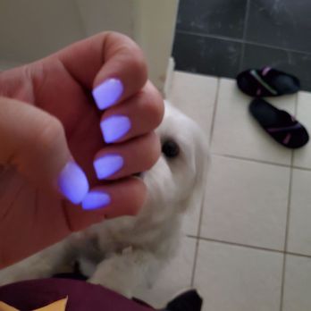Q Spa Nails - Glow in the dark Dip! - Nail Salons Near Me - Fort Worth, Texas Q Spa Nails - Glow in the dark Dip! - Nail Salons Near Me - Fort Worth, Texas