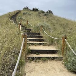 Camel's Back Park - One side of the trial has rope railings and stairs