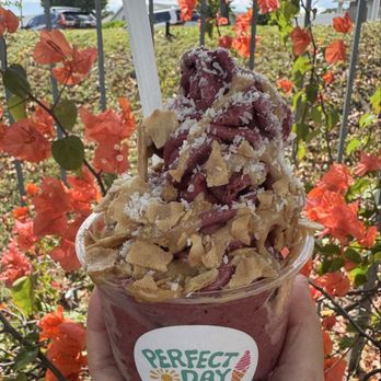 Perfect Day Real Fruit Ice Cream - Acai Swirl w/o cacao nibs - Ice Cream & Frozen Yogurt Near Me - Waipahu, Hawaii Perfect Day Real Fruit Ice Cream - Acai Swirl w/o cacao nibs - Ice Cream & Frozen Yogurt Near Me - Waipahu, Hawaii