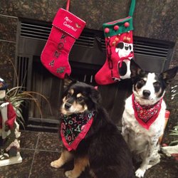 The Pet Whisperer and Exotic Care - KONA & KUIKUI