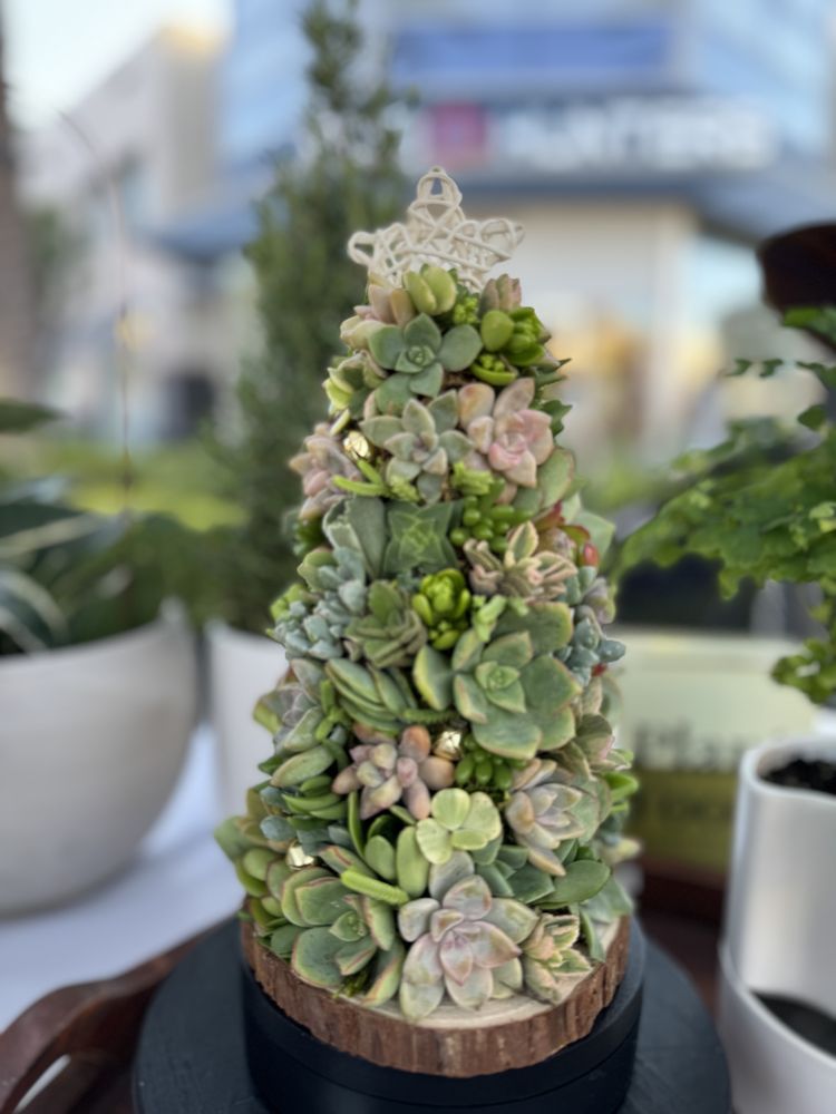 lifesoulgarden plant shop  Logo