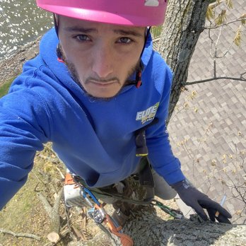 C&C - Tree Services Near Me - Indianapolis, Indiana C&C - Tree Services Near Me - Indianapolis, Indiana
