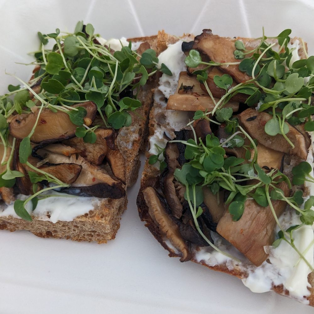 Bake Shop - Mushroom toast on focaccia - Cafes Near Me - Seattle, Washington Bake Shop - Mushroom toast on focaccia - Cafes Near Me - Seattle, Washington