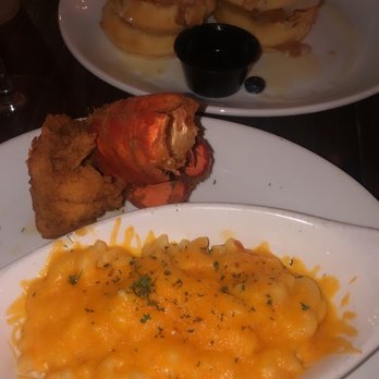 Taste Bar + Kitchen - Lobster Smoked Gouda Mac and Cheese - Cocktail Bars Near Me - Houston, Texas Taste Bar + Kitchen - Lobster Smoked Gouda Mac and Cheese - Cocktail Bars Near Me - Houston, Texas