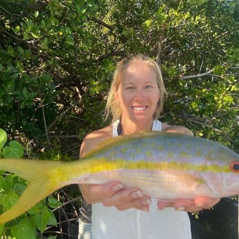 Keys Aquatic Adventures - Flag yellowtail snapper - Fishing Near Me - Islamorada, Florida Keys Aquatic Adventures - Flag yellowtail snapper - Fishing Near Me - Islamorada, Florida