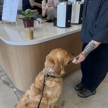 Bird Dog Coffee - Coffee & Tea Near Me - Laguna Hills, California