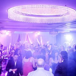 Baccino - Fun, energetic and interactive DJs and MCs