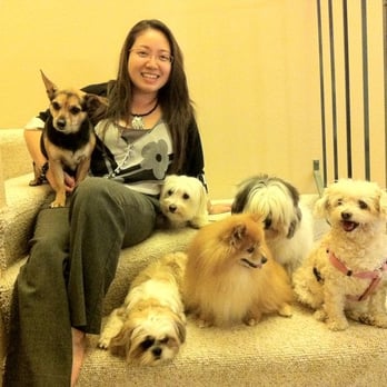 Rosey Dog Care - Dog party! - Pet Sitting Near Me Rosey Dog Care - Dog party! - Pet Sitting Near Me