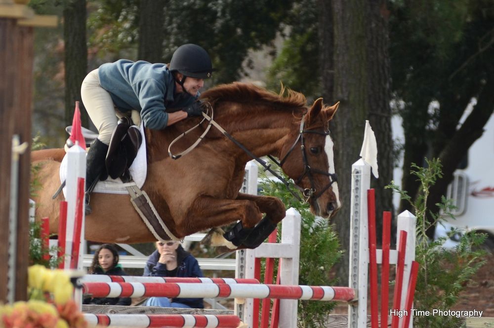 OAK VIEW FARM Updated September 2024 1509 Tripp Rd, Chapel Hill