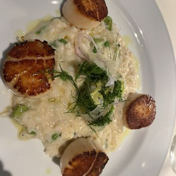 Ocean Prime - Scallops - Seafood Near Me - Tampa, Florida Ocean Prime - Scallops - Seafood Near Me - Tampa, Florida