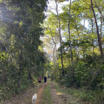 La Mesa Nature Reserve - Dogs are welcomed - Mountain Biking Near Me - Quezon City, NCR