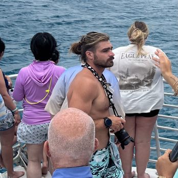 Dolphins and You - Boat Charters Near Me - Honolulu, Hawaii Dolphins and You - Boat Charters Near Me - Honolulu, Hawaii