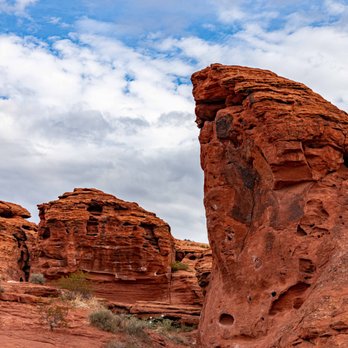 Red Cliffs Desert Reserve - Red Cliffs Desert Reserve - Hiking Near Me - St. George, Utah