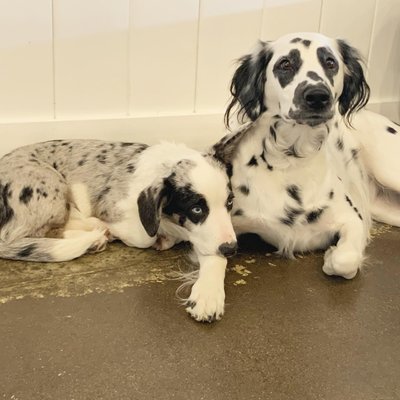 Crate Escape by null