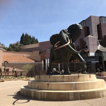 Blackhawk Museum - Museums Near Me - Danville, California Blackhawk Museum - Museums Near Me - Danville, California