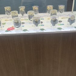 Markt Dispensary - Markt. Cannabis Dispensary Weed Dispensary Los Angeles - Weed in Los Angeles