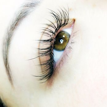 Lash Therapy - Eyelash Service Near Me - Los Ángeles , California Lash Therapy - Eyelash Service Near Me - Los Ángeles , California