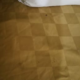 Burns on comforter Burns on comforter