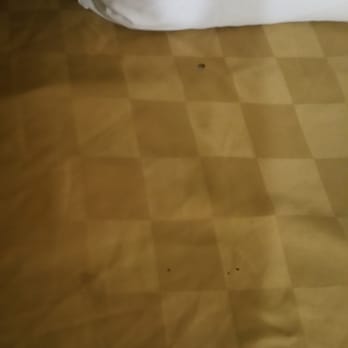 Rodeway Inn & Suites - Burns on comforter - Hotels Near Me - Bellflower, California Rodeway Inn & Suites - Burns on comforter - Hotels Near Me - Bellflower, California