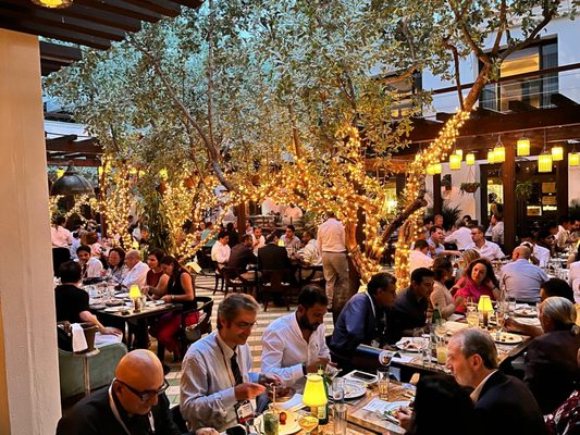 Cecconi's Miami by null