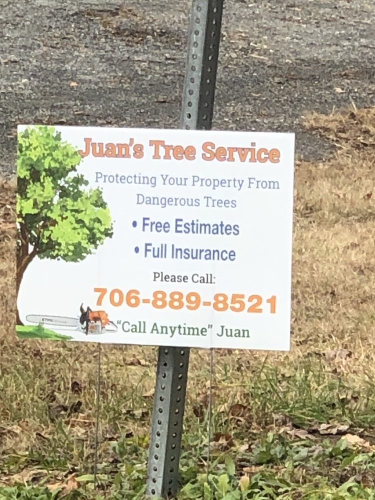 JUAN’S TREE SERVICE Updated September 2024 Ellijay, Tree