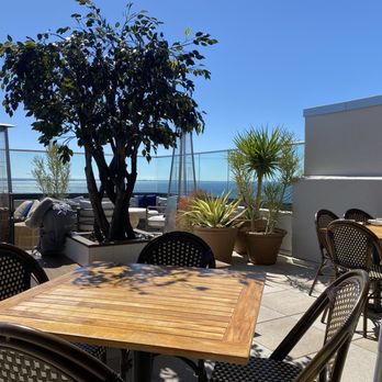 Casa Cami - The patio - Breakfast & Brunch Near Me - Tampa, Florida