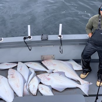 O'Fish'ial Charters - Fishing Near Me - Homer, Alaska