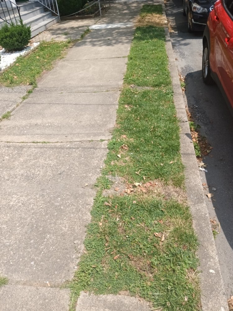 Slide of Caleb Landscaping