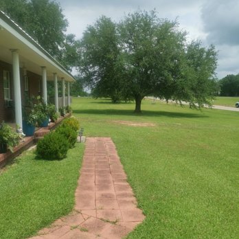 Mc Craney's Tree Services - No debris left or tire tracks after removal of tree. - Tree Services Near Me - Picayune, Mississippi Mc Craney's Tree Services - No debris left or tire tracks after removal of tree. - Tree Services Near Me - Picayune, Mississippi