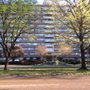 Photo of Parkway House Condominiums