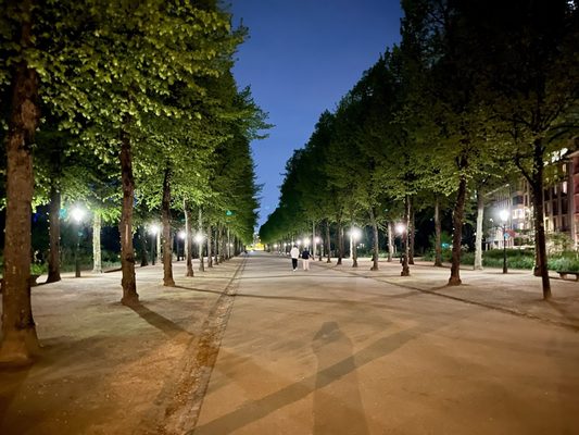 Hofgarten by null
