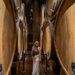 Antinori nel Chianti Classico
