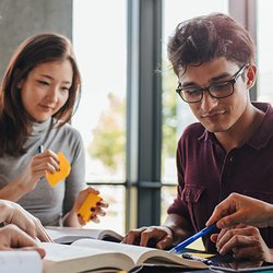 Home School Coaches - Language Tutors available
