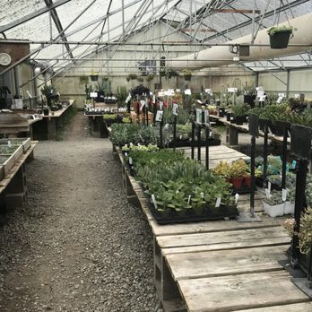 Half Moon Bay Nursery 383 Photos 190 Reviews Nurseries Half Moon Bay Nursery 383 Photos 190 Reviews Nurseries
