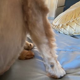 bare stipe down length of leg bare stipe down length of leg