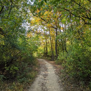 Palos Forest Preserves - Mountain Biking Near Me - Cook, Illinois