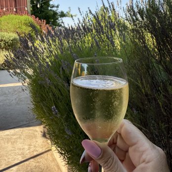 Breathless Sparkling Wines - Wineries Near Me - Healdsburg, California