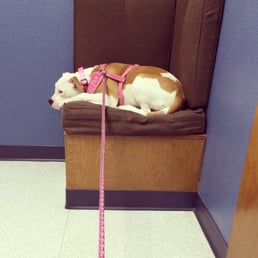 Making herself comfortable!