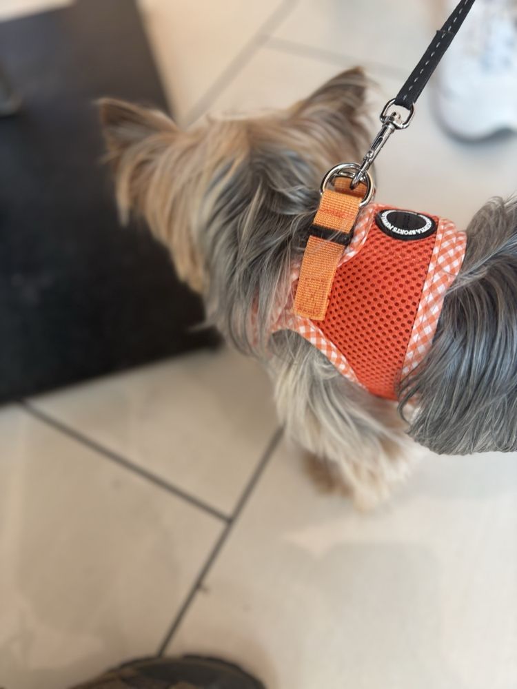 J&J’s Pet Spot Image