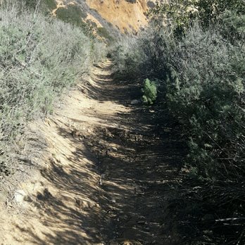 Forrestal Ecological Reserve - Hiking Near Me - Rancho Palos Verdes, California