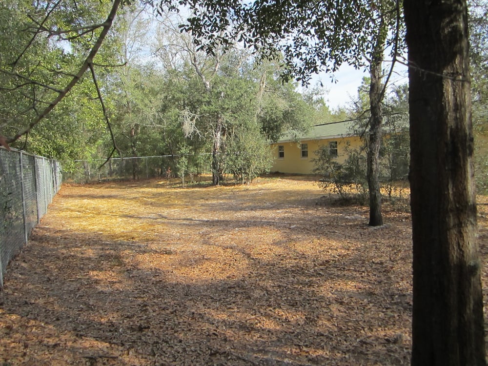 PALMETTO KENNELS Updated September 2024 10411 SW 105th St, Ocala