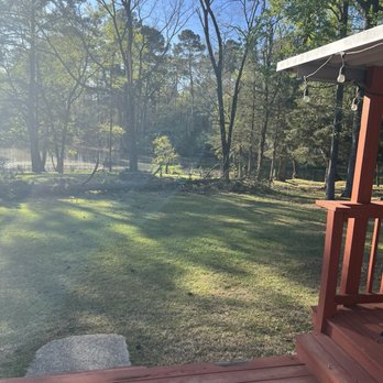 Moose's Tree Service - Fallen tree - Tree Services Near Me - Shreveport, Louisiana Moose's Tree Service - Fallen tree - Tree Services Near Me - Shreveport, Louisiana