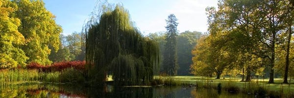 Schloss Eggenberg by null