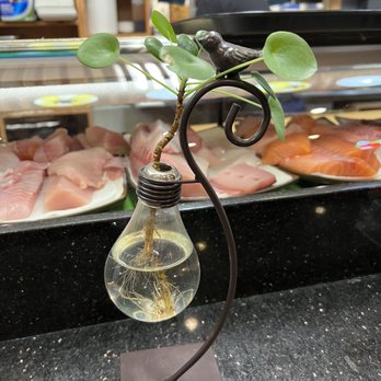 Joy Sushi - a light bulb with a plant growing out of it - Sushi Bars Near Me - Mountain View, California Joy Sushi - a light bulb with a plant growing out of it - Sushi Bars Near Me - Mountain View, California