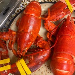 Kanaloa Seafood - Lobster