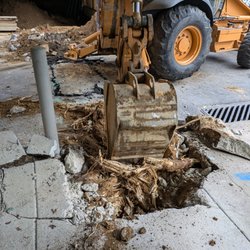 City Plumbing - they wouldn't cut the roots until a i stepped in and talked to the site manager; a local tree authority agreed that this was not good