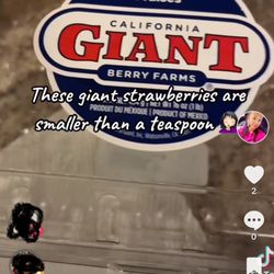 California Giant Berry Farms